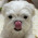 우왕이